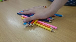 19576038_1032160126886787_1726286445_n