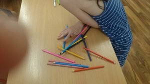 19621582_1032160093553457_1341968455_n