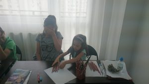 19679658_1037663363003130_1999694290_n