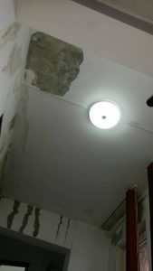 24323832_1172240372878761_311411743_o