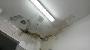 24323838_1172240216212110_1143178119_o