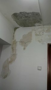 24324149_1172240319545433_428035894_o