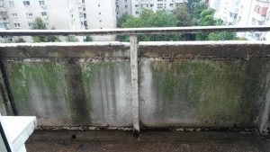 24463078_1172240869545378_996241046_o