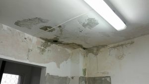 24463128_1172240199545445_491668856_o