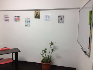 24463509_1493068127459076_250405423_o