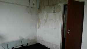 24463510_1172240609545404_2024363969_o