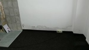 24474670_1172240172878781_2125683915_o