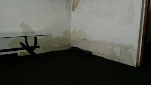 24623482_1172240896212042_954896057_o