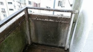 24623721_1172240919545373_185090569_o