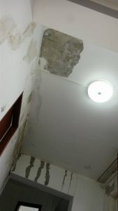 24650663_1172240396212092_1285957393_o